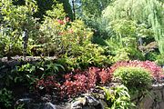 37 - Butchard Gardens  - IMG_1618